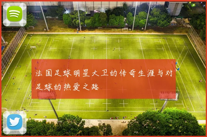 法国足球明星大卫的传奇生涯与对足球的热爱之路